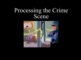Processing the Crime Scene - Use this One
