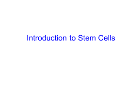 Introduction to Stem Cells