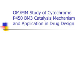 QM/MM Study of Cytochrome P450 BM3