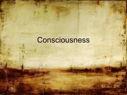 Consciousness - Options