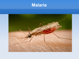 Malaria Symptoms - Our bilingual project
