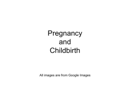 pregnancy handouts