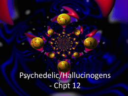 Hallucinogens - People Server at UNCW