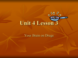 Unit 4 Lesson 3 Brain on Drugs