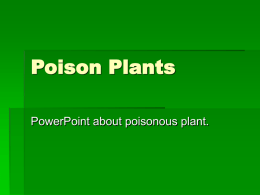 Poison Plants - conservation2009
