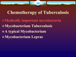 05. Antimycobacterial drugs