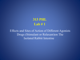Effects and Sites of Action of Different Agonists Drugs (Stimulant or