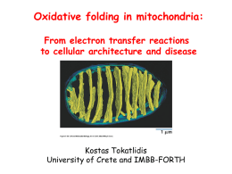 Oxidative folding in mitochondria