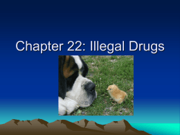 Chapter 23: Illegal Drugs