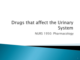 Unit 12 Urinary drugs