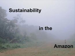 Amazon Sustainability