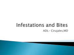Infestations and Bites