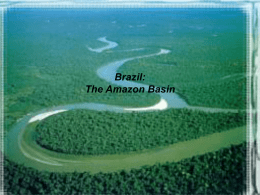 Brazilian Power in the Amazon Basin