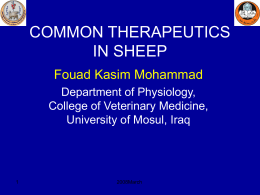common therapeutics in sheep - College of Veterinary Medicine