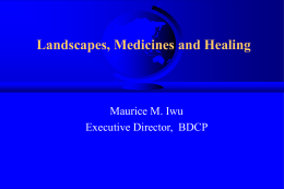 Landscapes, Medicines, and Healing, Dr. Maurice M. Iwu, Executive