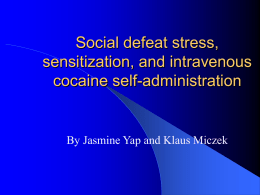 Social defeat stress, sensitization, and intravenous cocaine self