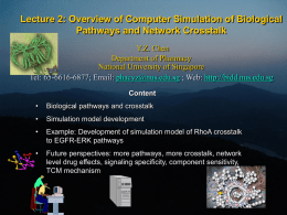 Lecture 2: Overview of Computer Simulation of Biological