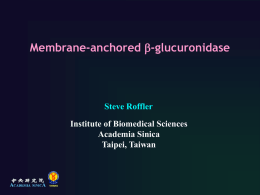 Membrane b-glucuronidase - Institute of Biomedical Sciences