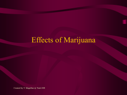 Effects of Marijuana - INSIDE CFISD.NET Home Page