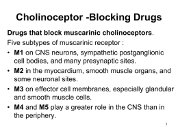 Cholinoceptor -Blocking Drugs