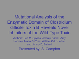Mutational Analysis of the Enzymatic Domain of Clostridium difficile
