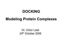 Topics in Protein-Protein Docking