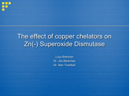 The effect of copper chelators on superoxide production
