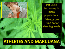 Marijuana is the most widely used illicit drug in America today, and