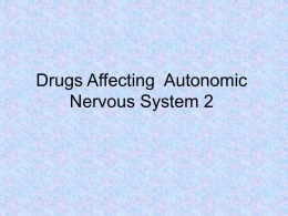 Drugs Affecting Autonomic Nervous System 2