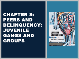 Chapter 8: Peers and Delinquency: Juvenile Gangs and Groups