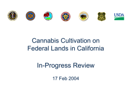 Cannabis Cultivation on Federal Lands in California (working title)