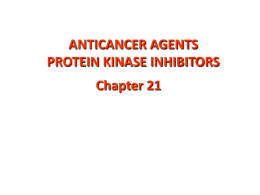 ATP binding site Protein Kinase Inhibitors