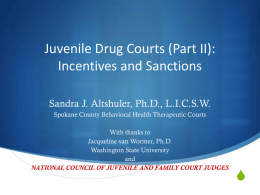 Effective Strategies in Juvenile Drug Courts: Research and Best
