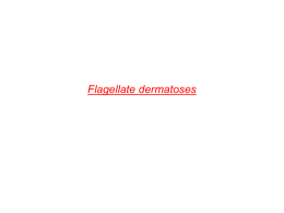Flagellate Dermatoses - Abdel Hamid Derm Atlas