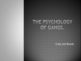 The Psychology of Gangs.