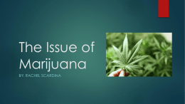 The Issue of Marijuana