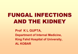 fungal infections and the kidney - Department of Internal Medicine