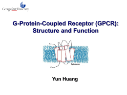 G-Protein-Coupled Receptor (GPCR)