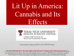 Lit Up In America-Marijuana and Its Affects Final.S
