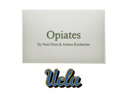 Introduction to opiates - UCLA Brain Research Institute