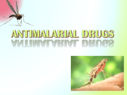 03 Antimalarials finalx2012-12