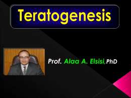Teratogenesis