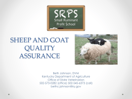 sheep and goat quality assurance