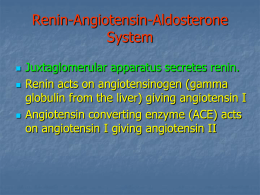 AngiotensinReninAldost