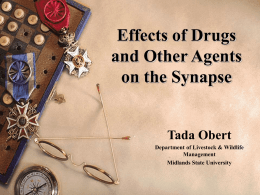 Effects of drugs and other agents on the synapse