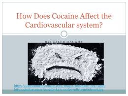 How Does Cocaine Affect the Cardiovascular - humanphys-chan