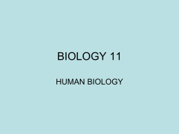 Cellular Biology I