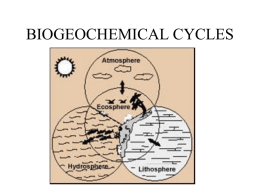 biogeochemical cycle ppt