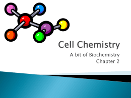 Powerpoint Chapter 2 Biochemistry