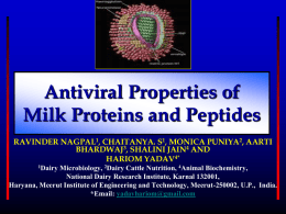ANTIVIRAL PROPERTIES OF MILK PROTEINS AND PEPTIDES